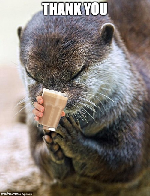 Thank you Lord Otter | THANK YOU | image tagged in thank you lord otter | made w/ Imgflip meme maker