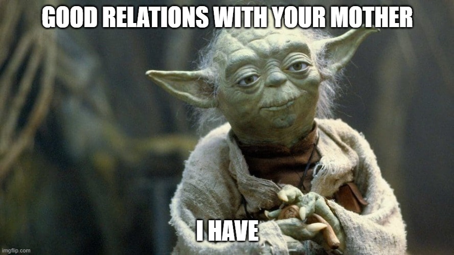 bruh | GOOD RELATIONS WITH YOUR MOTHER; I HAVE | image tagged in bruh | made w/ Imgflip meme maker