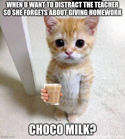 Cute Cat | WHEN U WANT TO DISTRACT THE TEACHER SO SHE FORGETS ABOUT GIVING HOMEWORK; CHOCO MILK? | image tagged in memes,cute cat | made w/ Imgflip meme maker