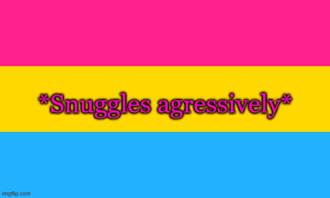 pan flag | *Snuggles agressively* | image tagged in pan flag | made w/ Imgflip meme maker
