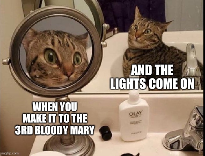 That boo face though | AND THE LIGHTS COME ON; WHEN YOU MAKE IT TO THE 3RD BLOODY MARY | image tagged in funny,cats,scared cat | made w/ Imgflip meme maker