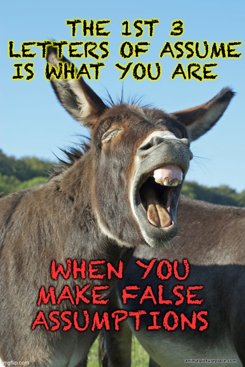 False ASS | THE 1ST 3 LETTERS OF ASSUME IS WHAT YOU ARE; WHEN YOU MAKE FALSE ASSUMPTIONS | image tagged in false,ass,funny memes | made w/ Imgflip meme maker