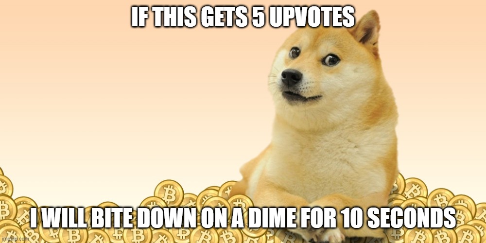 dont expect a picture because yall aint getting a face reveal | IF THIS GETS 5 UPVOTES; I WILL BITE DOWN ON A DIME FOR 10 SECONDS | image tagged in doge coin | made w/ Imgflip meme maker