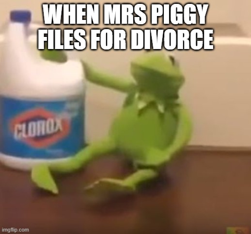 Kermit Suicide | WHEN MRS PIGGY FILES FOR DIVORCE | image tagged in kermit suicide | made w/ Imgflip meme maker