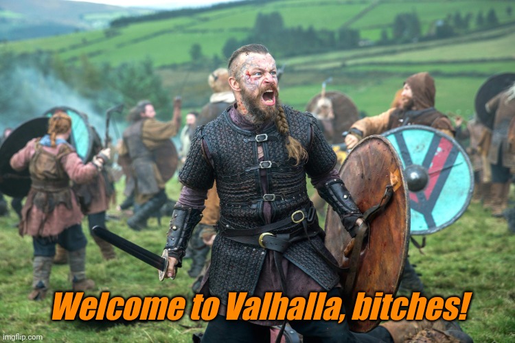 Vikings valhalla | Welcome to Valhalla, bitches! | image tagged in vikings valhalla | made w/ Imgflip meme maker