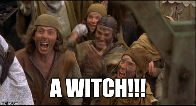 Monty Python witch | A WITCH!!! | image tagged in monty python witch | made w/ Imgflip meme maker