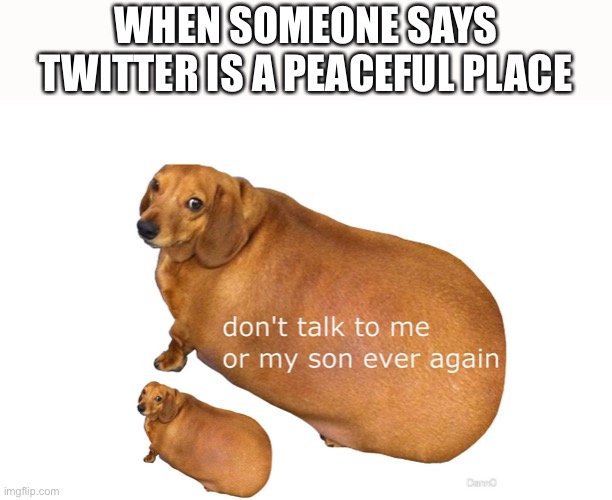 Don't talk to me or my son ever again | WHEN SOMEONE SAYS TWITTER IS A PEACEFUL PLACE | image tagged in don't talk to me or my son ever again,twitter | made w/ Imgflip meme maker