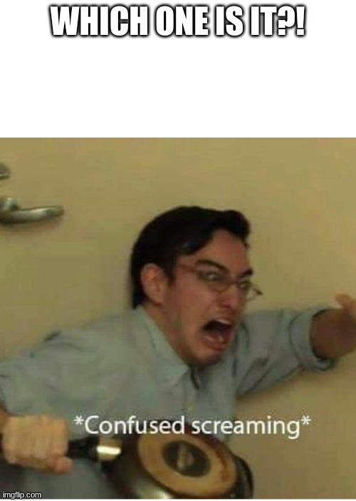 confused screaming | WHICH ONE IS IT?! | image tagged in confused screaming | made w/ Imgflip meme maker