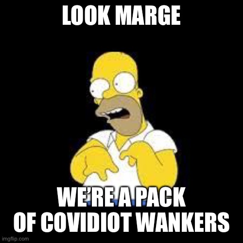 Look Marge | LOOK MARGE; WE’RE A PACK OF COVIDIOT WANKERS | image tagged in look marge | made w/ Imgflip meme maker