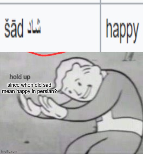 "Sad" means "happy" in Persian | since when did sad mean happy in persian? | image tagged in fallout hold up with space on the top | made w/ Imgflip meme maker