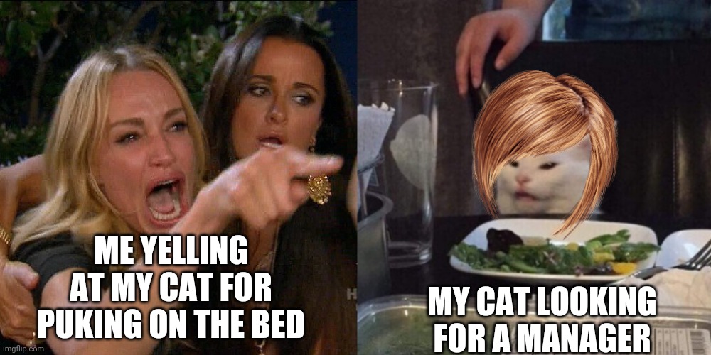 Woman yelling at cat | ME YELLING AT MY CAT FOR PUKING ON THE BED; MY CAT LOOKING FOR A MANAGER | image tagged in woman yelling at cat | made w/ Imgflip meme maker