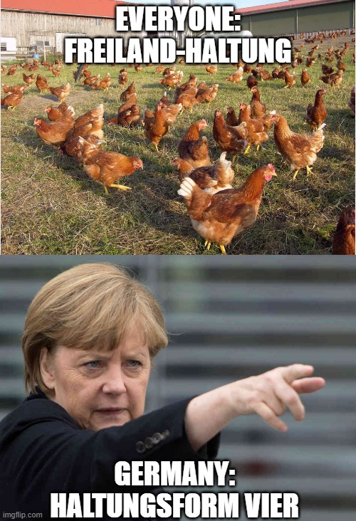 You know you're german, if you ... | EVERYONE:
FREILAND-HALTUNG; GERMANY:
HALTUNGSFORM VIER | image tagged in germany,wording,officialese,animal farming | made w/ Imgflip meme maker