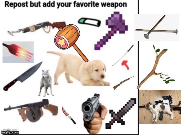 I added the cat. It yeets fur balls | image tagged in cats | made w/ Imgflip meme maker