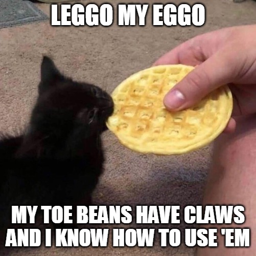 LEGGO MY EGGO; MY TOE BEANS HAVE CLAWS AND I KNOW HOW TO USE 'EM | image tagged in memes,cat,cats,black cat,waffles,eggo,Catmemes | made w/ Imgflip meme maker