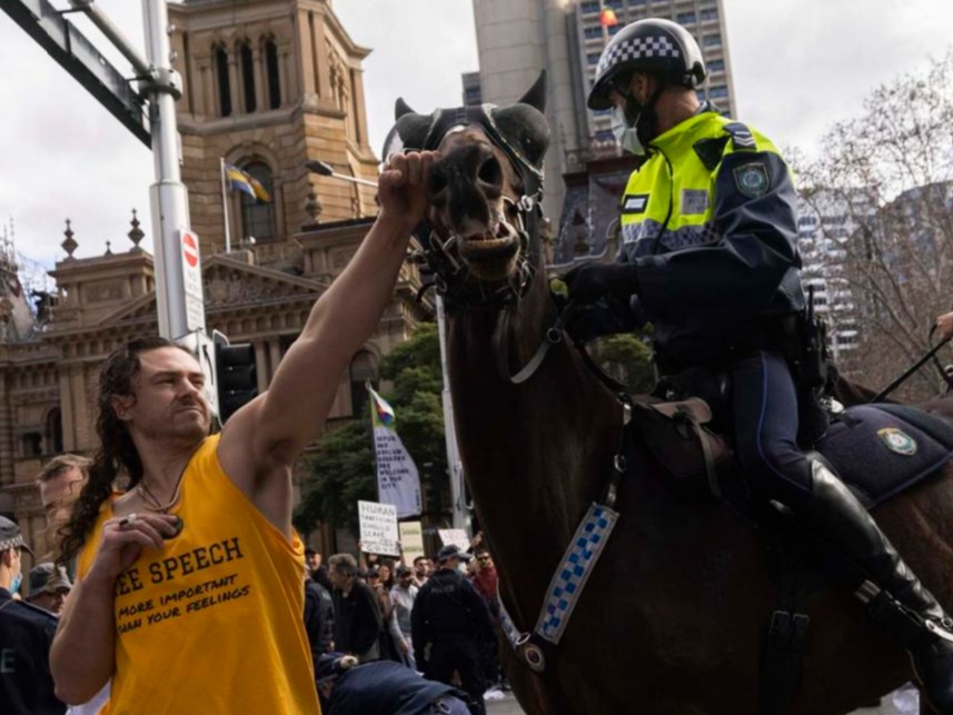 Protester punches horse Blank Meme Template