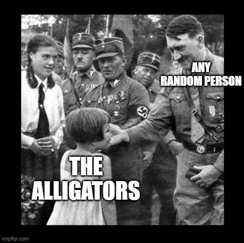 Child molester | ANY RANDOM PERSON THE ALLIGATORS | image tagged in child molester | made w/ Imgflip meme maker