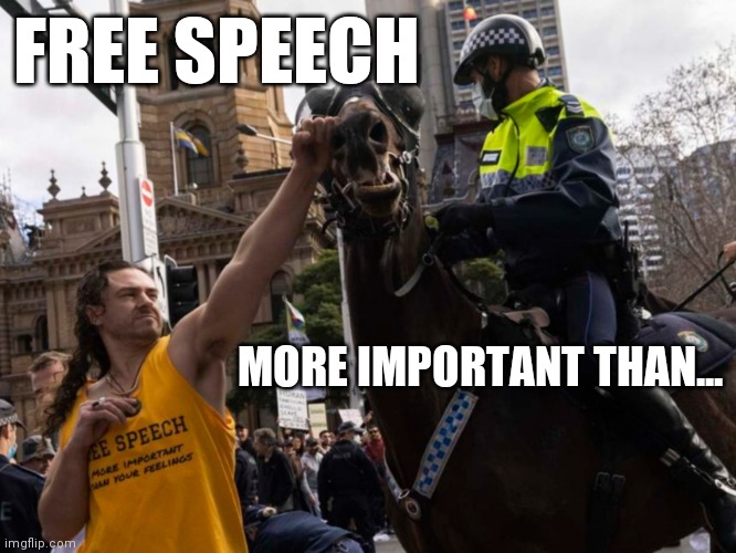 FREE SPEECH |  FREE SPEECH; MORE IMPORTANT THAN... | image tagged in protester punches horse | made w/ Imgflip meme maker