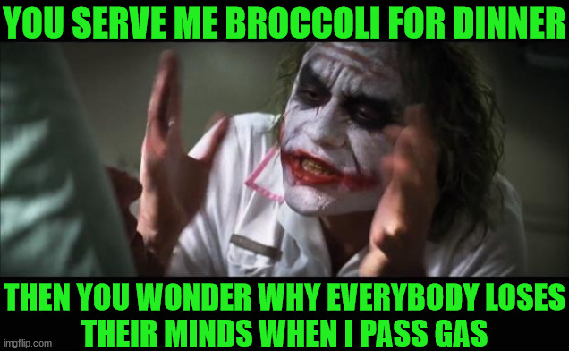 And everybody loses their minds | YOU SERVE ME BROCCOLI FOR DINNER; THEN YOU WONDER WHY EVERYBODY LOSES
THEIR MINDS WHEN I PASS GAS | image tagged in memes,and everybody loses their minds,no no hes got a point,aint nobody got time for that | made w/ Imgflip meme maker