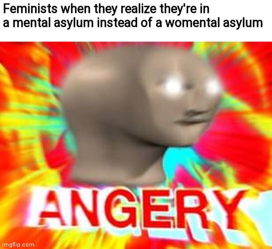lol meme man funni | Feminists when they realize they're in a mental asylum instead of a womental asylum | image tagged in memes | made w/ Imgflip meme maker