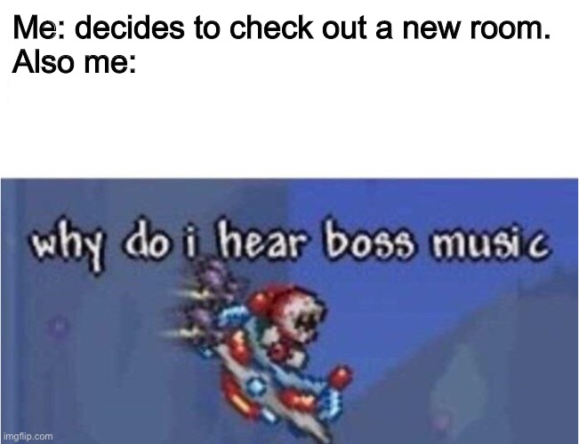 Turns out he’s 20 levels higher ? |  Me: decides to check out a new room.
Also me: | image tagged in why do i hear boss music | made w/ Imgflip meme maker