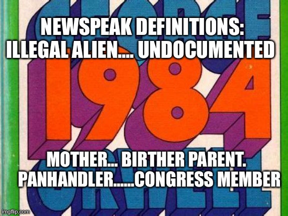 Panhandler replaced with Congress Member | NEWSPEAK DEFINITIONS: ILLEGAL ALIEN.... UNDOCUMENTED; MOTHER... BIRTHER PARENT.    PANHANDLER......CONGRESS MEMBER | image tagged in george orwell,congress,pelosi,democrats | made w/ Imgflip meme maker