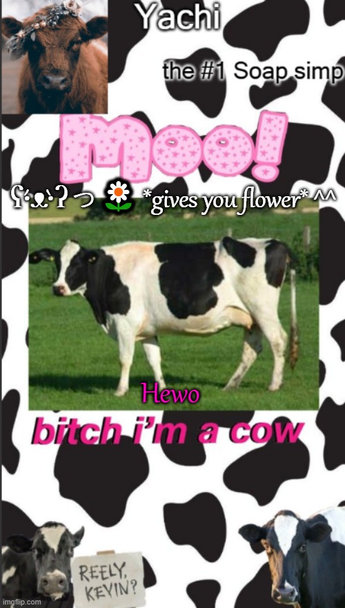 Yachis cow temp | ʕ•́ᴥ•̀ʔっ🌼 *gives you flower* ^^; Hewo | image tagged in yachis cow temp | made w/ Imgflip meme maker