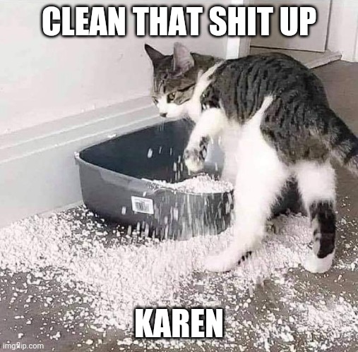 BAD KITTY | CLEAN THAT SHIT UP; KAREN | image tagged in cats,funny cats | made w/ Imgflip meme maker