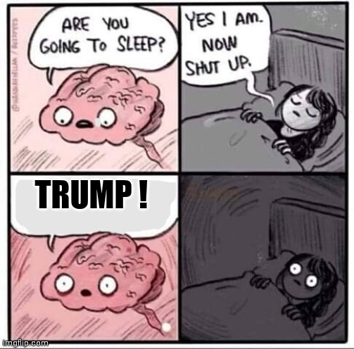 Are you going to sleep? | TRUMP ! | image tagged in are you going to sleep | made w/ Imgflip meme maker