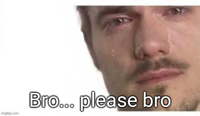 Bro Please Bro | Bro... please bro | image tagged in bro please bro | made w/ Imgflip meme maker