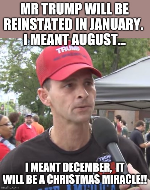 Reinstating trump | MR TRUMP WILL BE REINSTATED IN JANUARY. 
I MEANT AUGUST... I MEANT DECEMBER,  IT WILL BE A CHRISTMAS MIRACLE!! | image tagged in trump supporter,maga,trump,republican,liberals,conservative | made w/ Imgflip meme maker