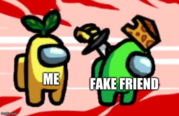 Among Us Stab | ME; FAKE FRIEND | image tagged in among us stab | made w/ Imgflip meme maker