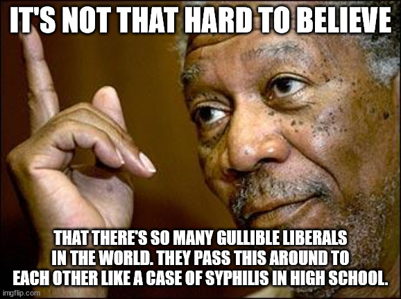 This Morgan Freeman | IT'S NOT THAT HARD TO BELIEVE THAT THERE'S SO MANY GULLIBLE LIBERALS IN THE WORLD. THEY PASS THIS AROUND TO EACH OTHER LIKE A CASE OF SYPHIL | image tagged in this morgan freeman | made w/ Imgflip meme maker