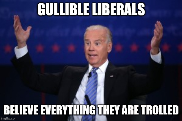 GULLIBLE LIBERALS BELIEVE EVERYTHING THEY ARE TROLLED | made w/ Imgflip meme maker