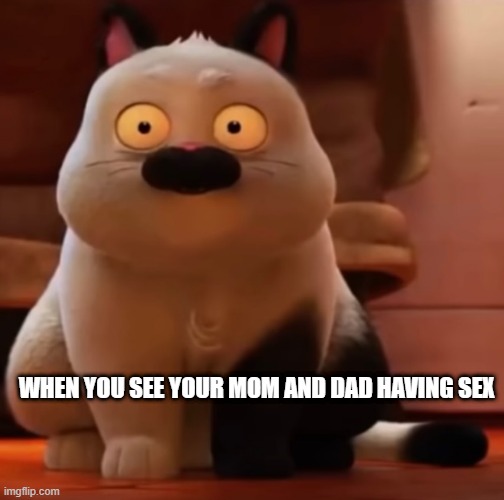 luca cat | WHEN YOU SEE YOUR MOM AND DAD HAVING SEX | image tagged in suprise cat | made w/ Imgflip meme maker