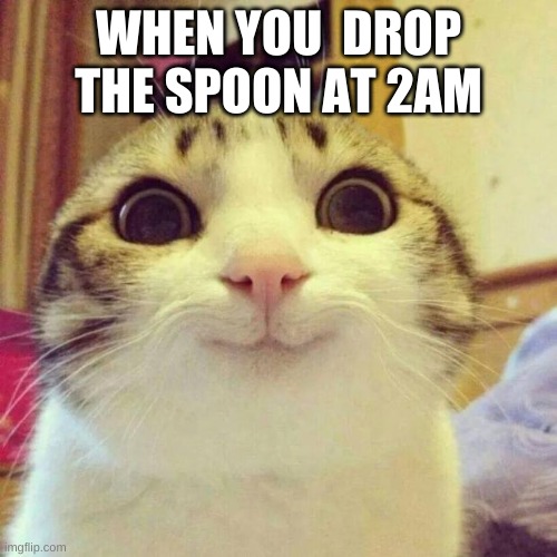 Smiling Cat Meme | WHEN YOU  DROP THE SPOON AT 2AM | image tagged in memes,smiling cat | made w/ Imgflip meme maker