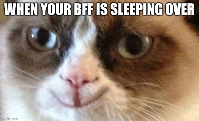 Grumpy Cat happy | WHEN YOUR BFF IS SLEEPING OVER | image tagged in grumpy cat happy | made w/ Imgflip meme maker