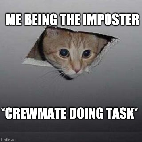 Ceiling Cat | ME BEING THE IMPOSTER; *CREWMATE DOING TASK* | image tagged in memes,ceiling cat | made w/ Imgflip meme maker