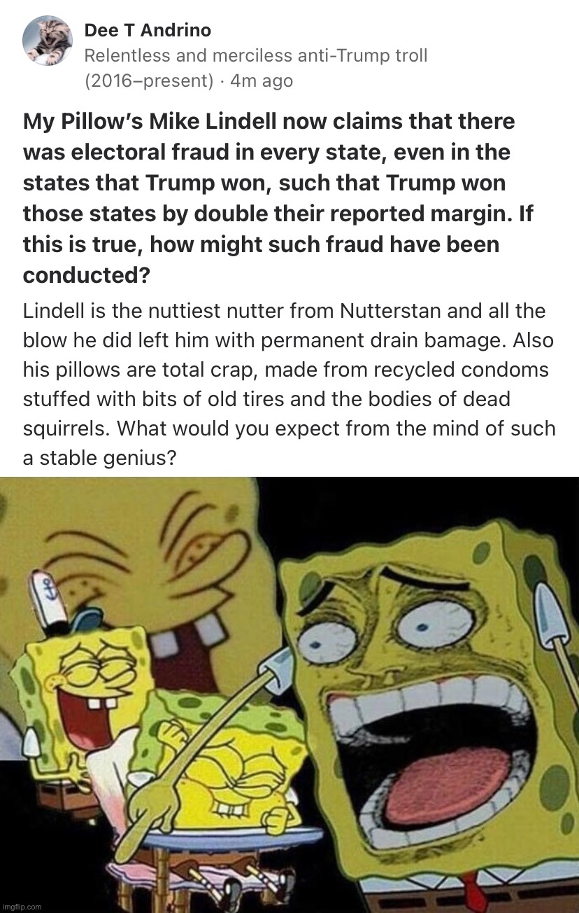 Wot | image tagged in mike lindell mypillows,spongebob laughing hysterically,mike lindell,conspiracy theory,trolling the troll,quora | made w/ Imgflip meme maker