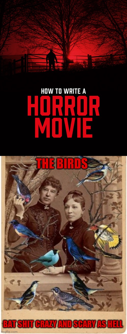 Horror movie release | THE BIRDS; BAT SHIT CRAZY AND SCARY AS HELL | image tagged in creepy joe biden,kamala harris | made w/ Imgflip meme maker