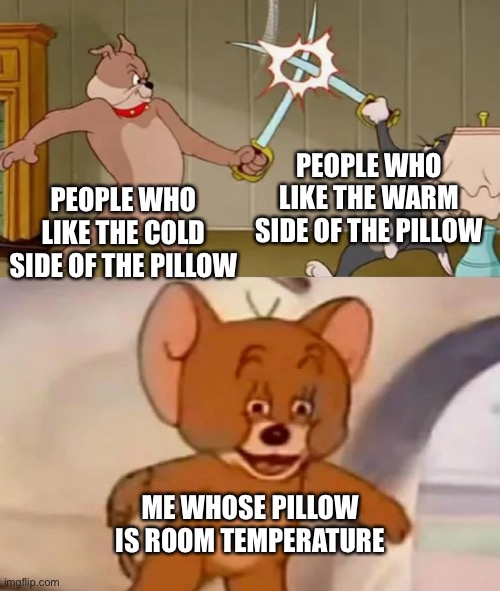 Tom and Spike fighting | PEOPLE WHO LIKE THE WARM SIDE OF THE PILLOW; PEOPLE WHO LIKE THE COLD SIDE OF THE PILLOW; ME WHOSE PILLOW IS ROOM TEMPERATURE | image tagged in tom and spike fighting | made w/ Imgflip meme maker