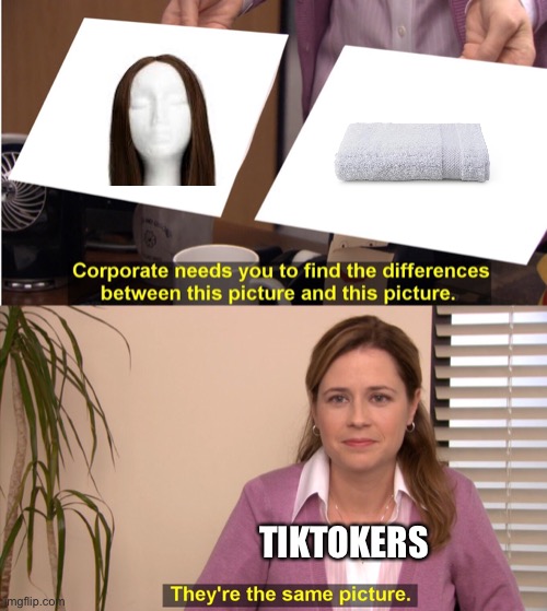 Hair be like | TIKTOKERS | image tagged in memes,they're the same picture | made w/ Imgflip meme maker