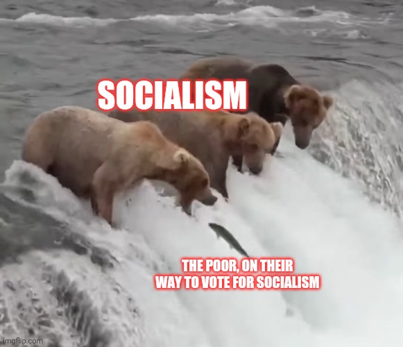 In mother Russia, socialism eat you | SOCIALISM; THE POOR, ON THEIR WAY TO VOTE FOR SOCIALISM | image tagged in socialism,democratic socialism,communist socialist | made w/ Imgflip meme maker