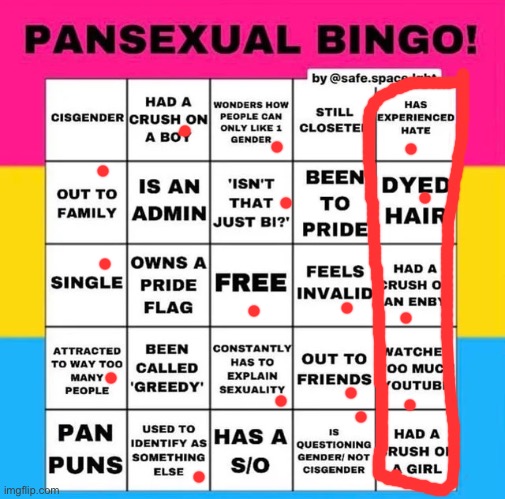 bingo! | image tagged in pansexual bingo | made w/ Imgflip meme maker