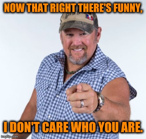 Larry the Cable Guy | NOW THAT RIGHT THERE'S FUNNY, I DON'T CARE WHO YOU ARE. | image tagged in larry the cable guy | made w/ Imgflip meme maker