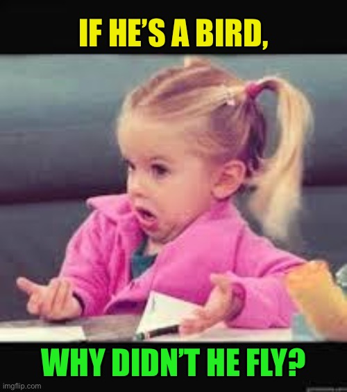 Little girl Dunno | IF HE’S A BIRD, WHY DIDN’T HE FLY? | image tagged in little girl dunno | made w/ Imgflip meme maker