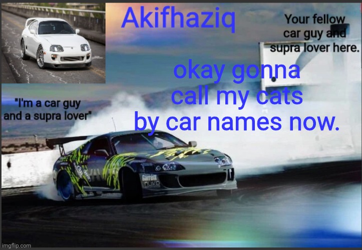 Akifhaziq supra mk4 temp | okay gonna call my cats by car names now. | image tagged in akifhaziq supra mk4 temp | made w/ Imgflip meme maker