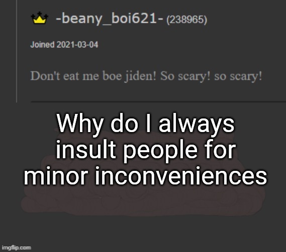beany | Why do I always insult people for minor inconveniences | image tagged in beany | made w/ Imgflip meme maker