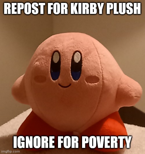 E | REPOST FOR KIRBY PLUSH; IGNORE FOR POVERTY | made w/ Imgflip meme maker
