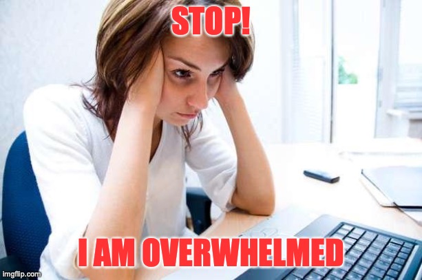 Frustrated at Computer | STOP! I AM OVERWHELMED | image tagged in frustrated at computer | made w/ Imgflip meme maker