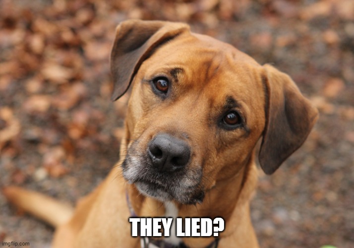 THEY LIED? | made w/ Imgflip meme maker